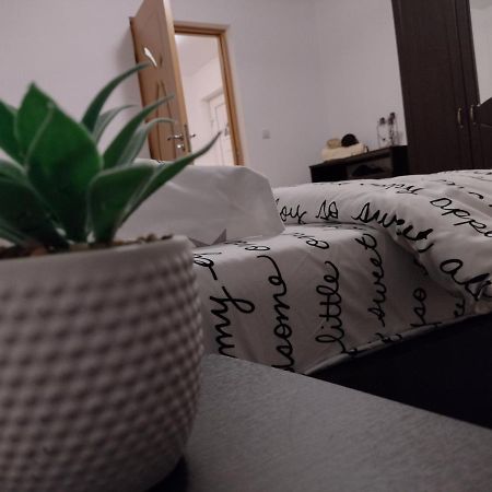 Casa Anastasiei Μπρασόβ Εξωτερικό φωτογραφία