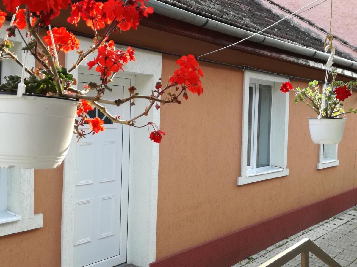 Casa Anastasiei Μπρασόβ Εξωτερικό φωτογραφία