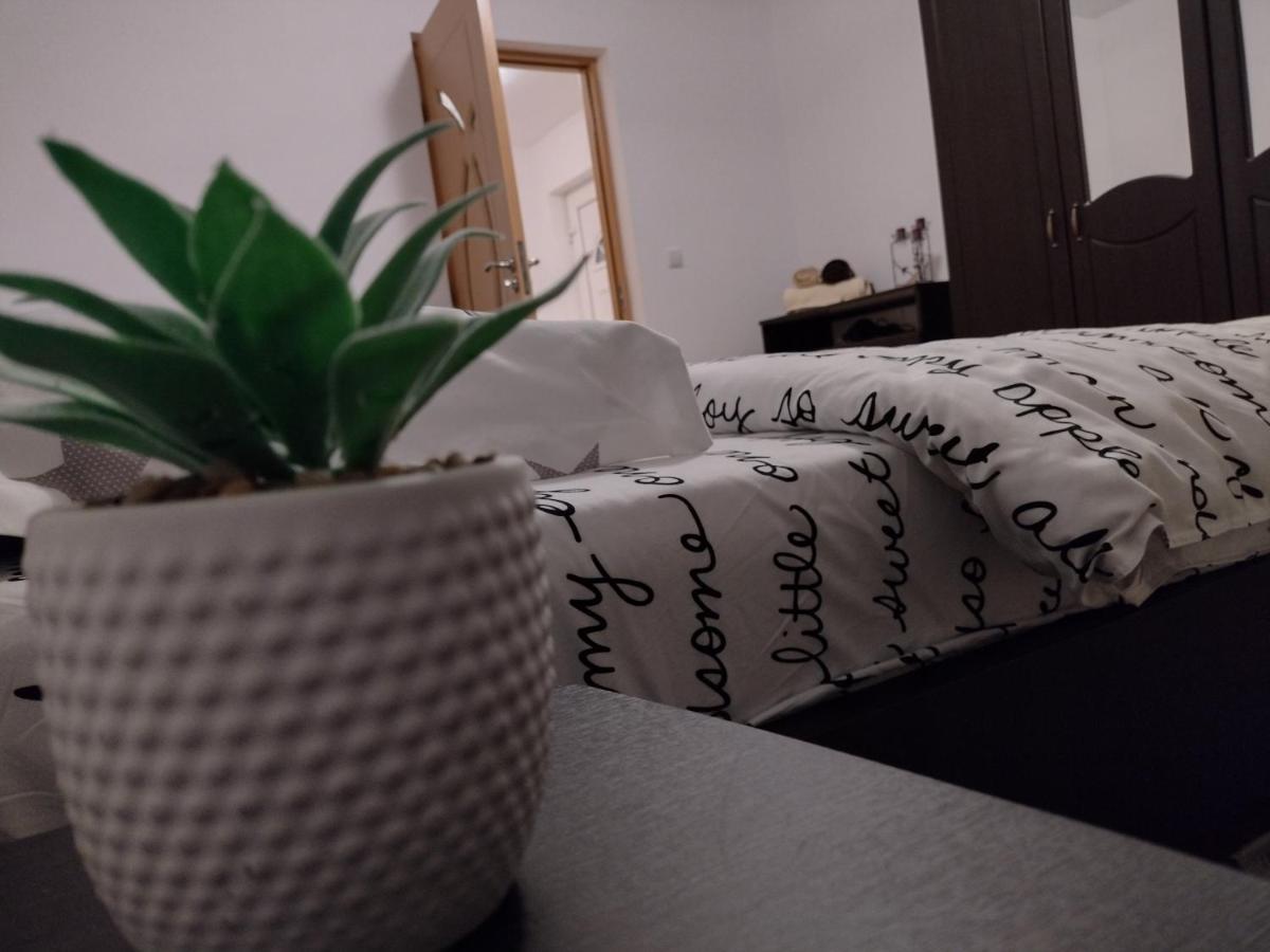 Casa Anastasiei Μπρασόβ Εξωτερικό φωτογραφία